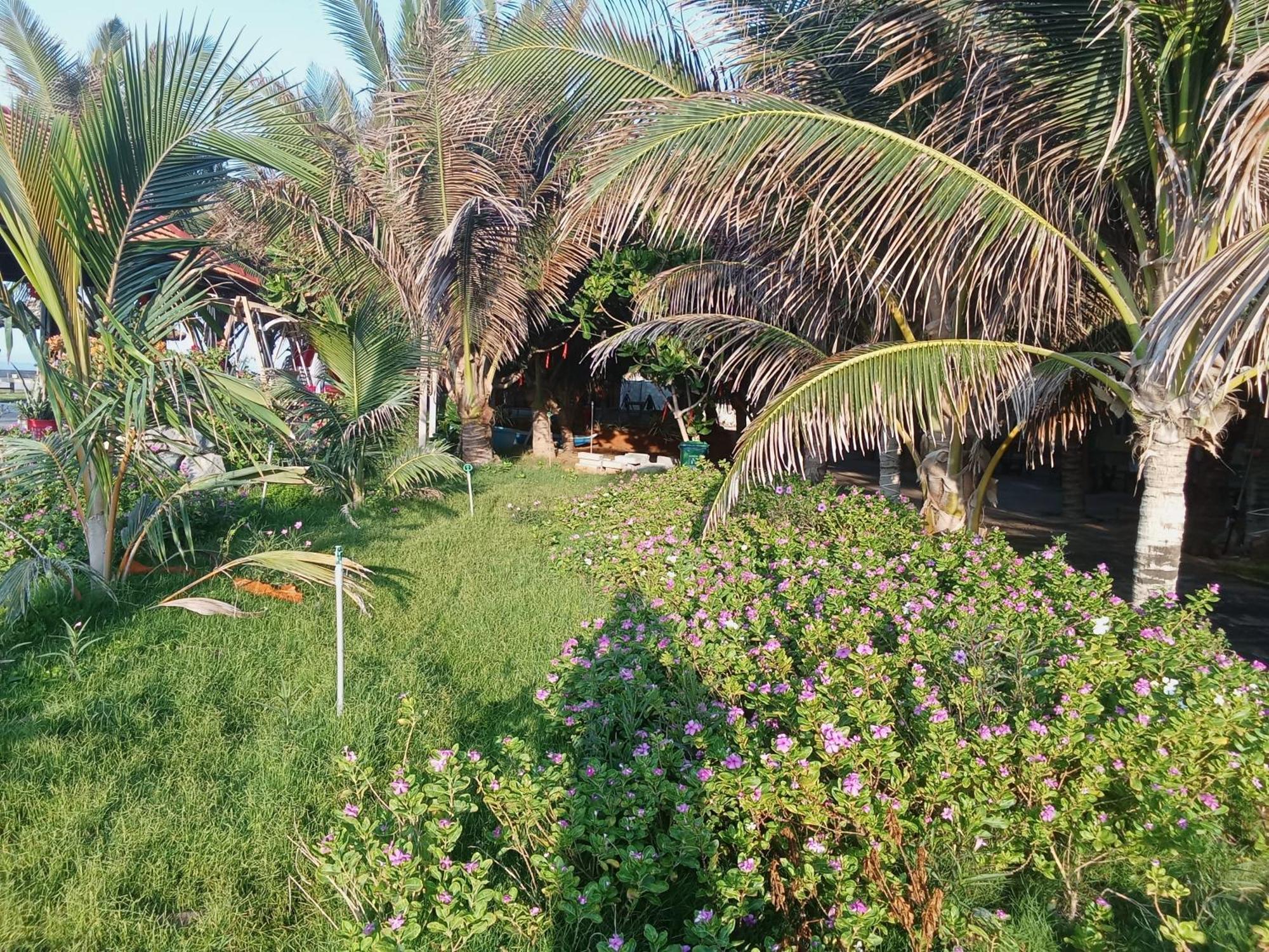 Bien Ngoc Homstay Phan Thiết Ngoại thất bức ảnh