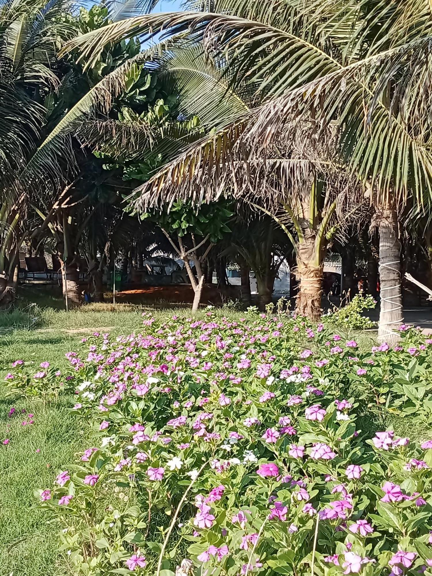 Bien Ngoc Homstay Phan Thiết Ngoại thất bức ảnh