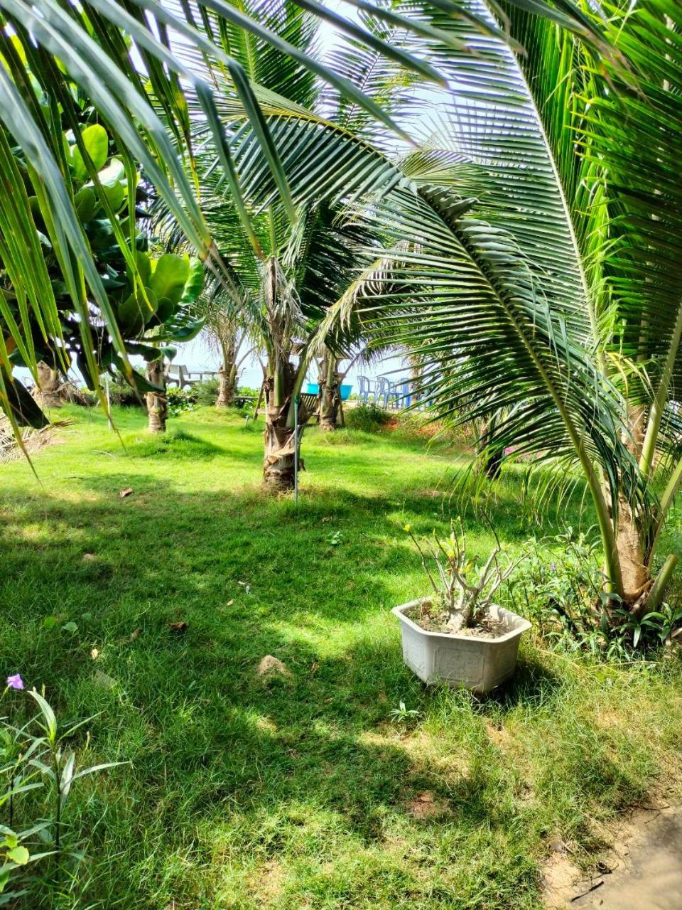 Bien Ngoc Homstay Phan Thiết Ngoại thất bức ảnh