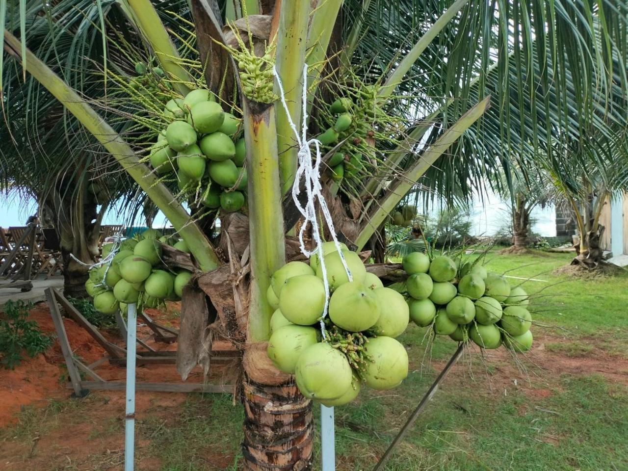 Bien Ngoc Homstay Phan Thiết Phòng bức ảnh