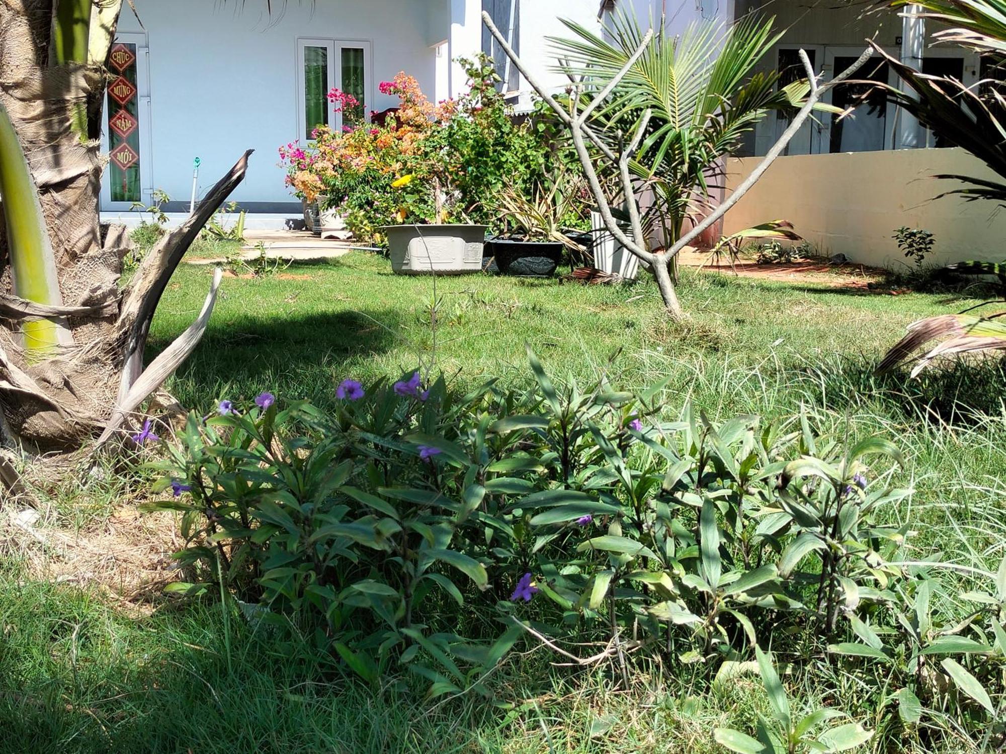 Bien Ngoc Homstay Phan Thiết Ngoại thất bức ảnh