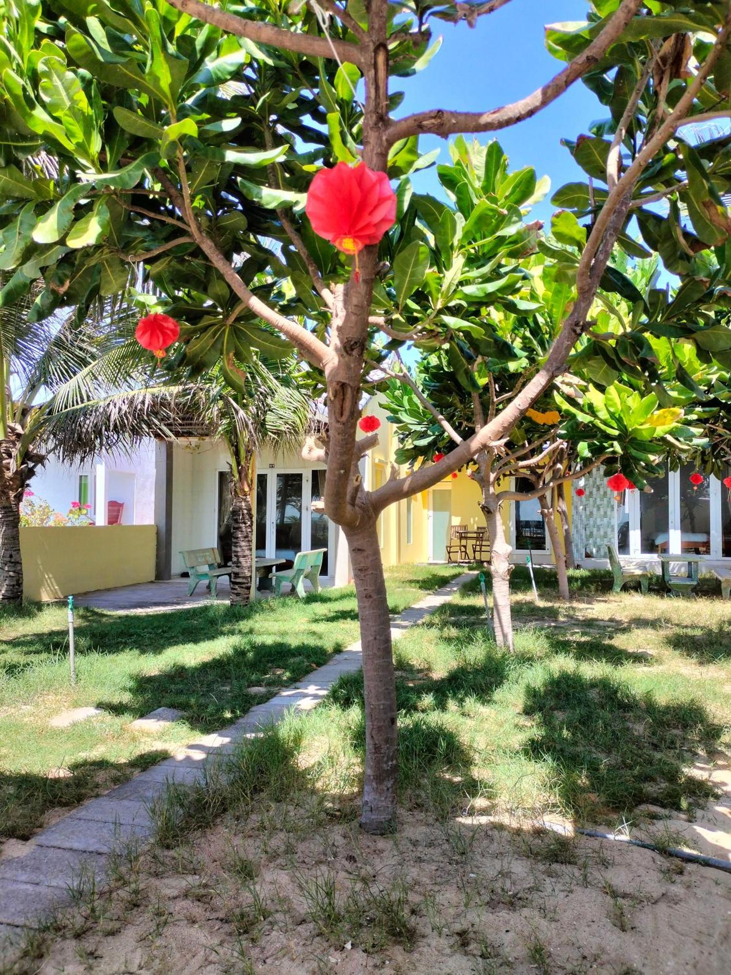 Bien Ngoc Homstay Phan Thiết Ngoại thất bức ảnh
